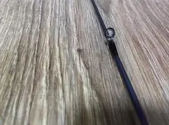 Item thumbnail for item 78ddebf3-7513-4cd7-919e-3da4c0bca445