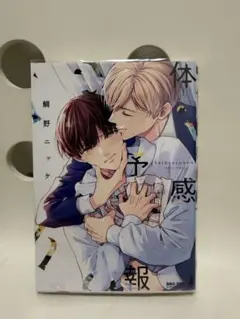 BL新刊 体感予報 2 鯛野ニッケ TSUTAYA特典イラストカード - メルカリ
