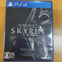 The Elder ScrollsVSkyrim Special Edition