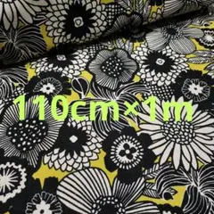 Item thumbnail for item 0291335c-6ec6-4f92-adcd-3c933efbbdc0