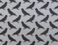 【ゆきちゃん限定】X2744-1 セキセイインコ柄 シルエット グレー 布 1m