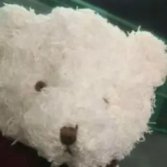 ナルミヤ POPUP メゾピアノ 発表会ベリエちゃん ぬいぐるみチャーム