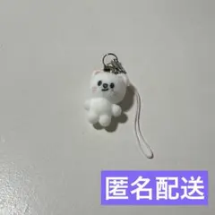 スキズ ペンミ Stray Kids ミニチャーム ジニレット