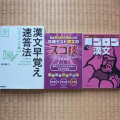 漢文参考書セット