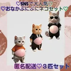 新品　おなかぷにぷにシール 猫 ねこ ネコ サングラス　ぷにぷに ３匹セットのサムネイル