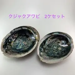 NO.58-67 クジャクアワビ(貝殻) 2ケセット　お徳用