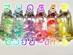 ナゾの生き物センサリーボトル 6本セット