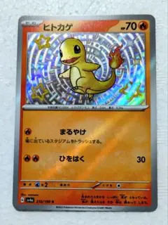 2025年最新】ヒトカゲ 色違いの人気アイテム - メルカリ