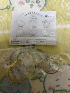 うちの子のけだまだま　犬のけだまだま