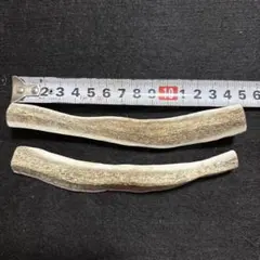 小型犬用３２、生角使用ドッグガム‼️蝦夷鹿角四つ割り２本セット、ワンチャンカミカミのサムネイル
