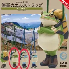 2026年最新】カエルの森工房の人気アイテム - メルカリ
