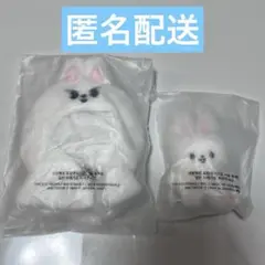 スキズ　ペンミ　リービット outfit microキーリング　5clock