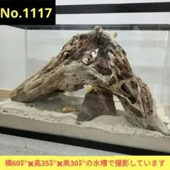 Item thumbnail for item 7ee1a2ef-c7c6-4b13-b05b-3dc7c9ccdc22