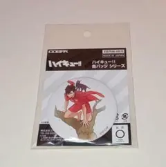 ハイキュー!! 缶バッジ 黒尾鉄朗