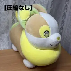 【圧縮なし】バンダイナムコ ポケモン もふぐっとぬいぐるみ ピチュー・ワンパチ