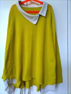 Item thumbnail for item 13f9c0bb-85d9-41ba-8854-cc30f3f64f6b