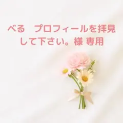 【専用】【8種作れる】海のいきもの モールド、アニマル顔 モールド