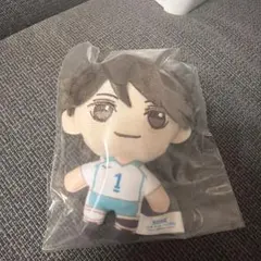 ハイキュー!! 及川徹 ぬいぐるみ マスコット　1番くじ