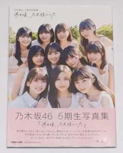 【バラ売り可】乃木坂46 写真集 CHOOSE 5 PHOTOS!～11th YEAR BIRTHDAY LIVE PHOTO Ver