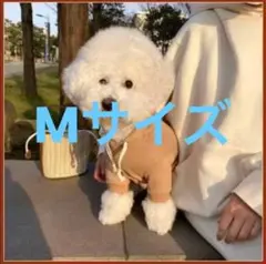 【ベージュ　Ｍサイズ】フード付きスウェット　犬服　ドッグウェア　パーカー