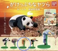 Item thumbnail for item 44b9b900-9c36-4e78-b9b7-16aad13238ff