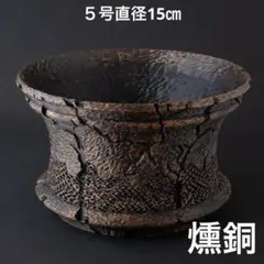 新作】羅生〜鳳凰〜 5号直径15㎝ 3dプリンター鉢 作家鉢 アガベ