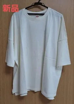 新品　ニコアンド　COLOR マイスターBIGTシャツ