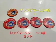 JSS進級ワッペン　レッド＆オレンジマーリン