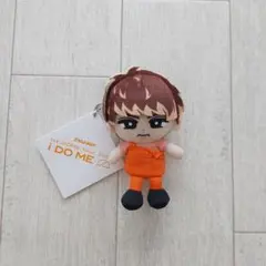 すのチル ぬい 向井康二