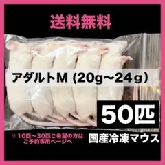 2026年最新】冷凍マウスの人気アイテム - メルカリ