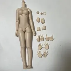 オビツ24 バストL ホワイティ ボディ ハンドパーツ