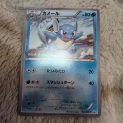 カメール ジムチャレンジ　プロモ　166 bw