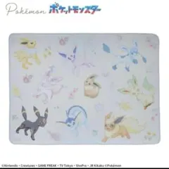 【新品】 ポケモン プラチナムザッカ 巾着付 ブランケット ひざ掛け イーブイ