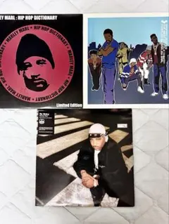 Marley Marl / LPレコード 3枚セット Marley Marl It's All Real レコード - メルカリ