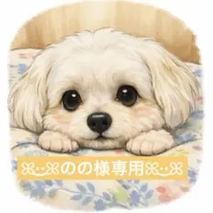 のの様専用ꕤ︎︎·͜·ꕤ︎︎