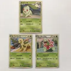 チコリータ　ベイリーフ　メガニウム　レジェンド