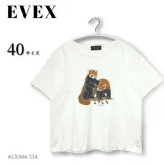 【EVEX】コットンホワイト Tシャツ レッサーパンダ 白 訳あり 2313のサムネイル