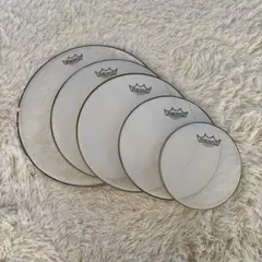 Item thumbnail for item f877aaab-7198-4d34-ad7a-27ff8a7cd666