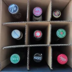 世界のビール　9本セットのサムネイル