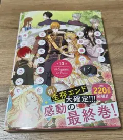 ある日、お姫様になってしまった件について 13