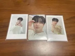 シーグリ2024 チャンビンセット