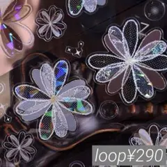 【Xi161】小白家 / 卡布奇诺 贝壳光 pet 1ループ 100cm¥290