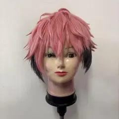 にじさんじ 赤城ウェン コスプレ ウィッグ - メルカリ