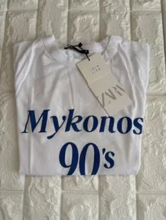 ZARA ロゴ Tシャツ Sサイズ