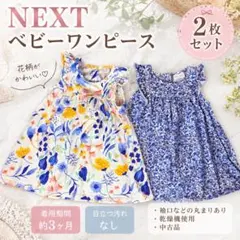 NEXT ベビー ワンピース 2枚セット 花柄 フリル ノースリーブ 夏服