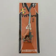 ハイキュー!! 鳥野 ストラップ 4