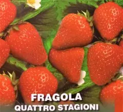 月夜うさぎ様 リクエスト 2点 まとめ商品