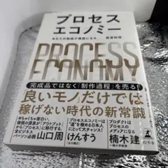 【美品】プロセスエコノミー 尾原和啓 けんすう