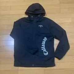 Item thumbnail for item cb156562-d9a3-4323-bf24-1ff8e26ac5dc