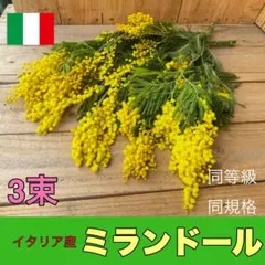 kumi様 リクエスト 4点 まとめ商品